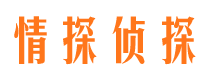 江东侦探